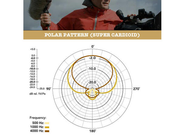 Røde NTG-3 Mikrofon Sølv Pro shotgun-mikrofon med lav egenstøy 